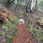 2015: Year in Review – NATURE, Naturally