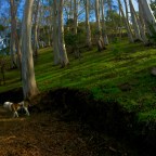 a Good Walk and a Good Talk