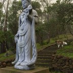 A Walk in the Woods… to a Cemetery