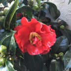 The Calm After the Storm