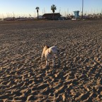 New Years Eve 2015 (5)