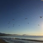 Taylor on a Santa Barbara Beach (5)
