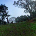 Fernwood – A Walk Thru the Cemetery (1)