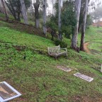 Fernwood – a Walk Thru a Cemetery (2)