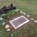 Life in a Cemetery (4)