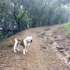 I Love Giving Treats!