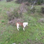 Praying with a Purpose – Intentional Intentions