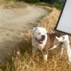 I Don’t Feel Like Dancing