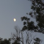 If You Believe There’s a Man on the Moon