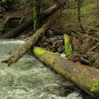 Friend in ME. Friend in YOU.