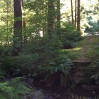 Living Life — Over the Hills and Far Away