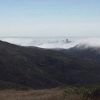 “Drive It Like You Stole It.” Dream Like You Meant It.