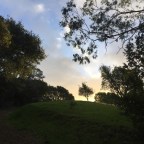 2016: a Retrospective and a Different Perspective