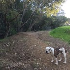 What’s Your Definition of Friendship?